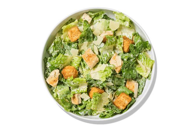 Chicken Caesar Salad