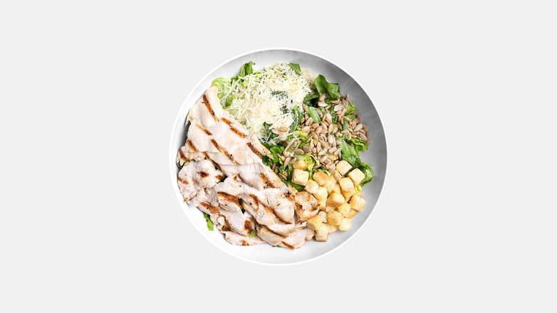 Chicken Caesar Salad
