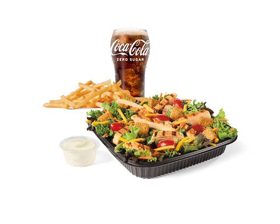 Large Garden Salad w/ Grilled Chicken Combo
