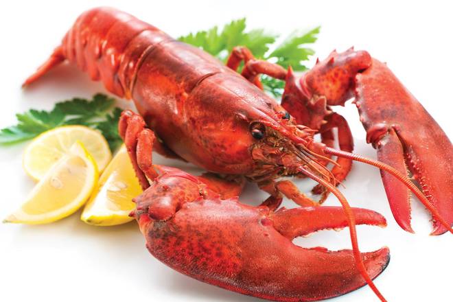 Lobster 1.25LBS
