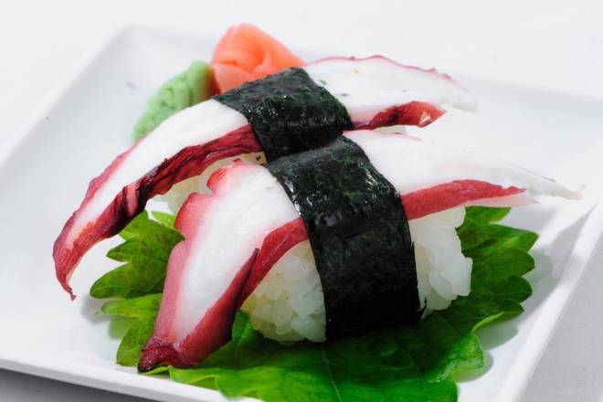 N7. Octopus*