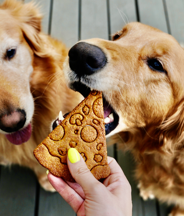 Pizza Slice Dog Treat