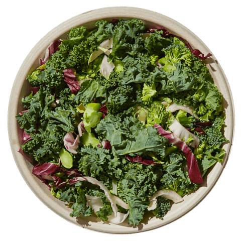 Salad Bowl