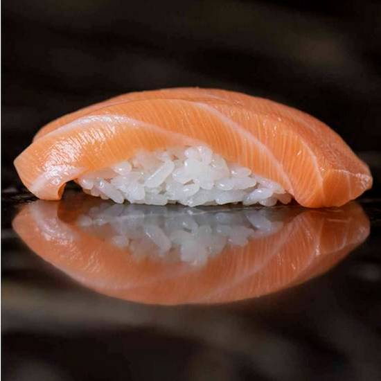 Salmon