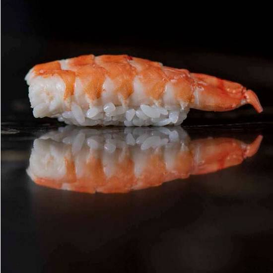 Shrimp