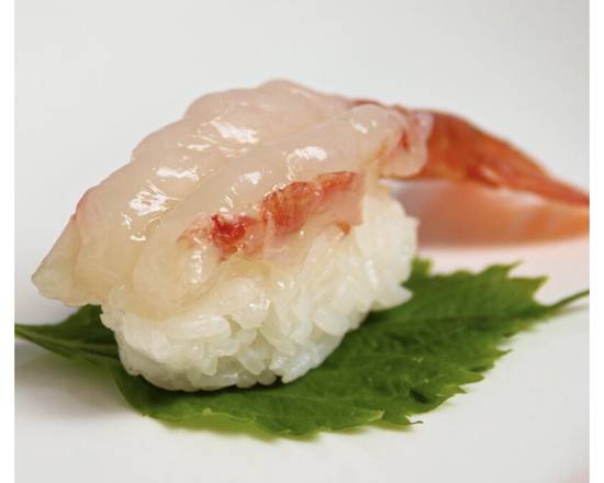 Sushi Appetizer