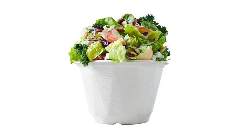 Sweet Apple Orchard Salad