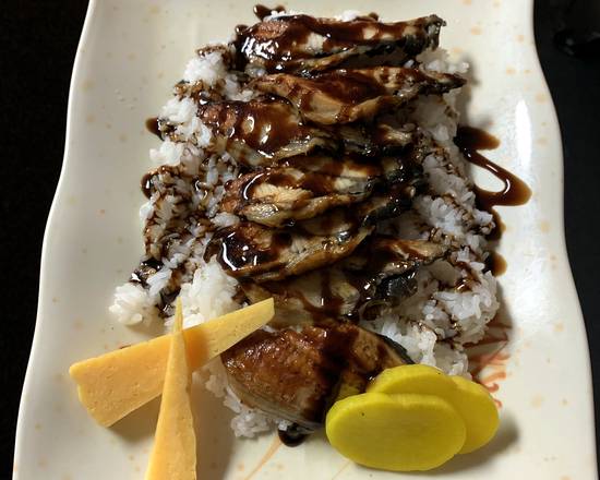 Unagi Don
